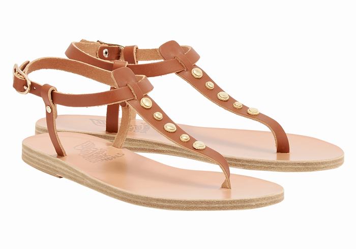 Sandales Bride Arrière Ancient Greek Sandals Lito Bee   | ETI-5445901